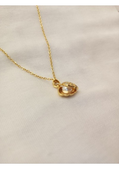 Gold Renk İstiridyeye Gizlenmiş İnci, Çelik Zincirli, Kadın Kolye Çok renkli