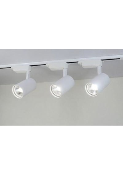 30W Led Ray Spot 3Lü Set -Beyaz Kasa -Beyaz Işık