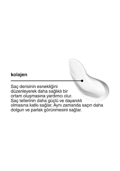 Louvess Kepek Önleyici Şampuan Çay Ağacı ve Ardıç Katranı İle Güçlendirilmiş Kepek Karşıtı Şampuan 400 ML