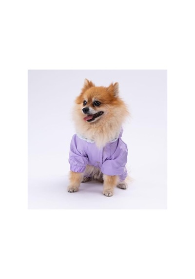 Adonis Yağmurluk Köpek Kıyafeti, Küçük Irklar İçin, L Açık Gri
