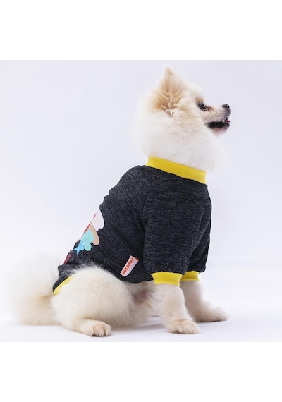 Pawstar Siyah Shine Kedi Köpek Sweati Kedi Köpek Kıyafeti