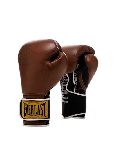 Everlast 1910 Classic Training Gloves Brn 12oz Boks Eldiveni 870402-70-9 Çok Renkli