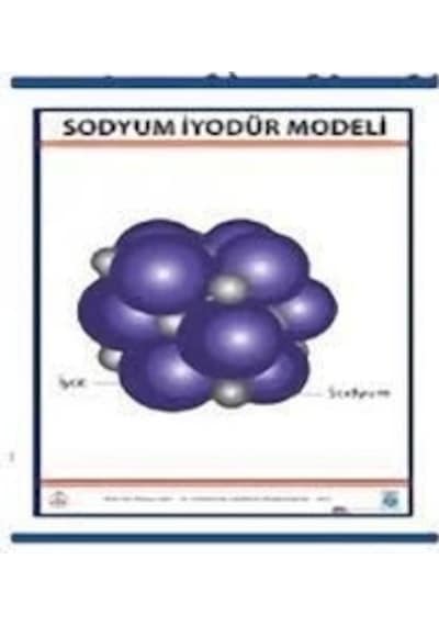 Sodyum Iyodür Nal Modeli Levhası 70X100 Cm