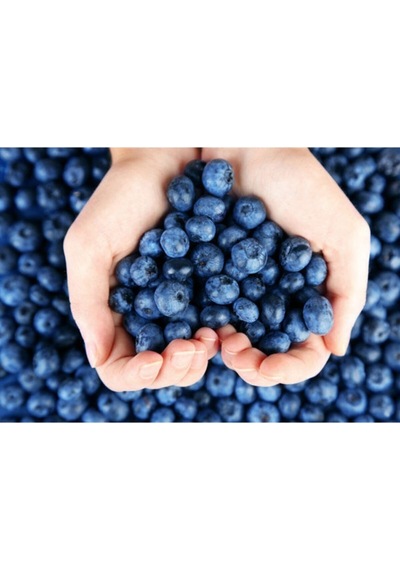 Yaban Mersini Tohumu Blueberry Tohumu 25 Adet Tohum