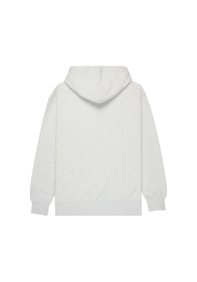 Quıksılver Quiksilver Dna Hoodie Erkek Gri Sweatshirt 6494