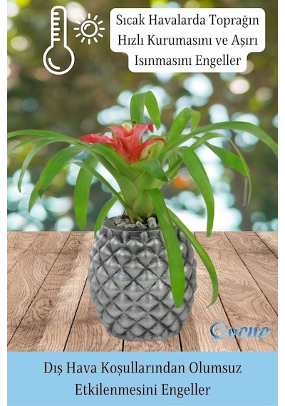 Ahşap Ayaklı Beton Saksı Büyük Boy 1 Adet Ananas Model - Gümüş Eskitme