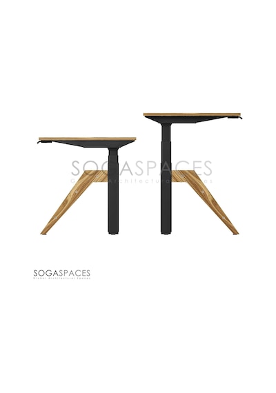 Regula Desk Dandy - Elektrikli Yükseklik Ayarlı Çalışma Masası, Sıradışı Tasarım, Çift Motorlu, Bluetooth Ko Diğer