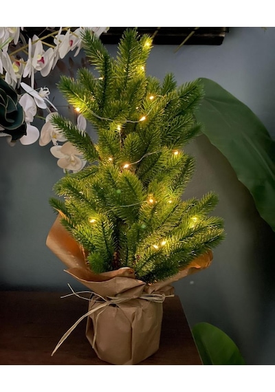Yılbaşı Ağacı Led Işıklı Yapay Çam Ağacı Kraft Saksıda 55cm