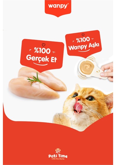 2li Set - Somonlu & Tavuklu Tahılsız Kaşıklı Kedi Ödül Kreması Kedi Ödülü 20 X 16gr