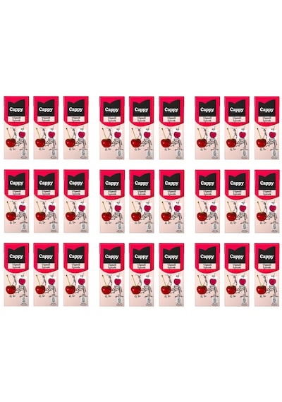 Cappy Vişneli İçecek 200 Ml X 27 Adet