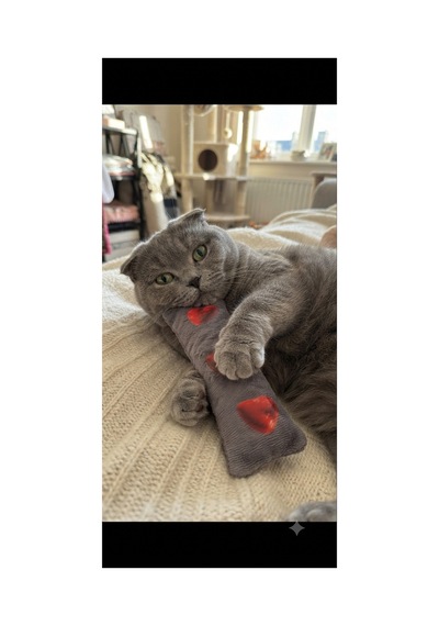 Yumuşak Peluş Kedi Oyuncağı Kedi Oyun Ve Aktivite Kediler İçin Peluş Oyun Arkadaşı Isırma, Yakalama Ve Eğlence Gri
