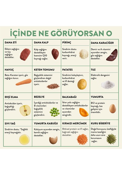 Kito Kuzu Etli Mini Irk Yetişkin Köpek Maması 2500 G + Kito Fresh Dana Etli Köpek Yemeği 6'lı