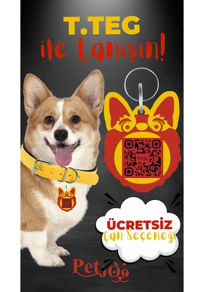 Petjoo 15.T.Teg Kırmızı-Sarı Qr'lı Köpek Künyesi