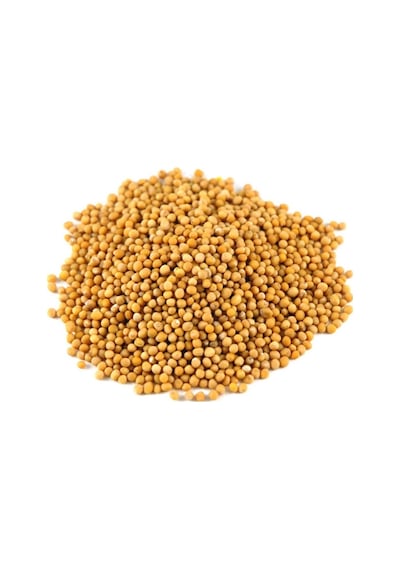Sarı Hardal Tohumu 1. Kalite 100 G