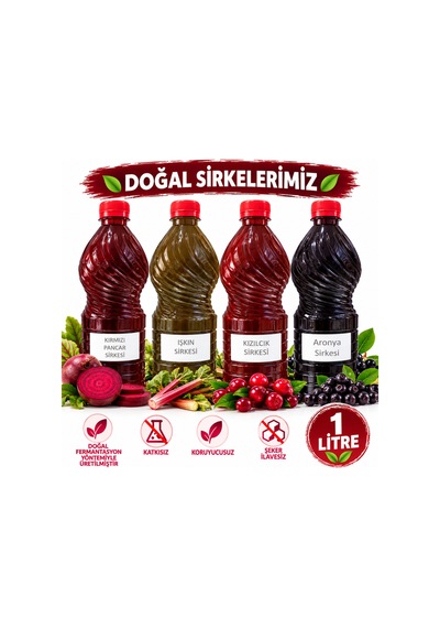 Işkın Sirkesi 1 Lt. X 3