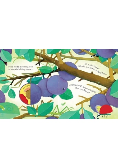 The Usborne Peep Inside Bug Homes