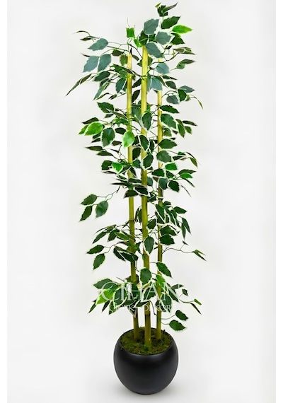 Yapay Alacalı Ficus Ağacı 3 Bambulu 110 Cm 27 33 Siyah Küre Saksılı Beyaz