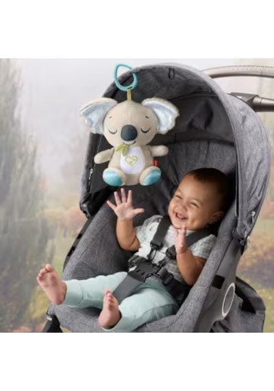 Fisher-price Taşınabilir Uyku Arkadaşı Koala Jbd65 Gri