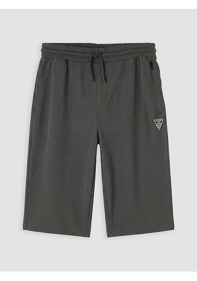 Lcwaıkıkı Classic Antrasit Regular Fit Erkek Şort