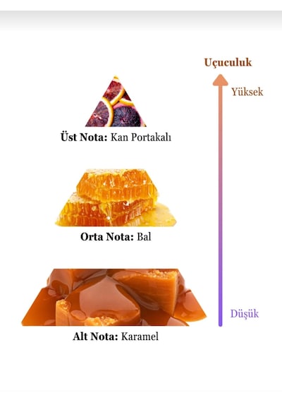 Asia Kadın Parfüm 100 Ml Edc Portakal Çiçeği - Vanilya