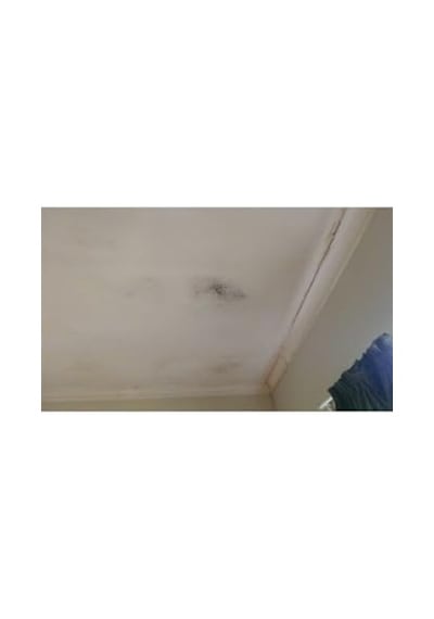 Nem Alıcı Yedek 450 Gr 6 Adet