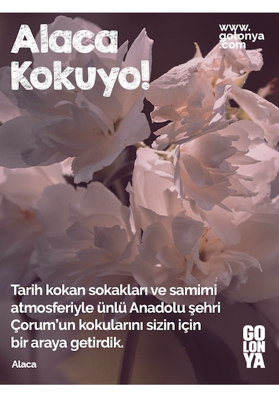 Golonya Alaca Cam Şişe Kolonya 250 ML