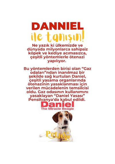 Petjoo 21.Danniel Sarı-Kırmızı Qr'lı Köpek Künyesi