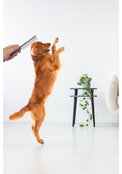 Kıtık Açıçı Kedi Köpek Tarağı Metal
