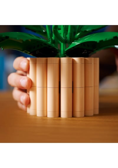 LEGO® Botanicals Barış Çiçeği 11504 - Yetiskinler için 6 Baris Çiçegi Içeren Koleksiyonluk Dekoratif Model Yapim Seti (474 Parça)