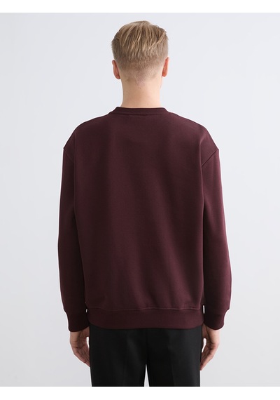 Lcw Vision Bordo Bisiklet Yaka Baskılı Erkek Kalın Sweatshirt