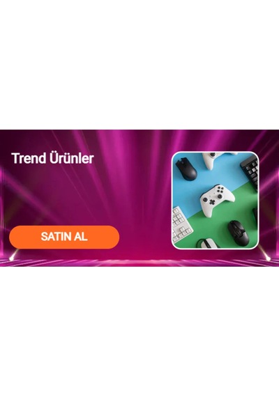 Modayakamoz Mrpurple Taş İşlemeli Premium Tül Elbise 2829 Çok renkli