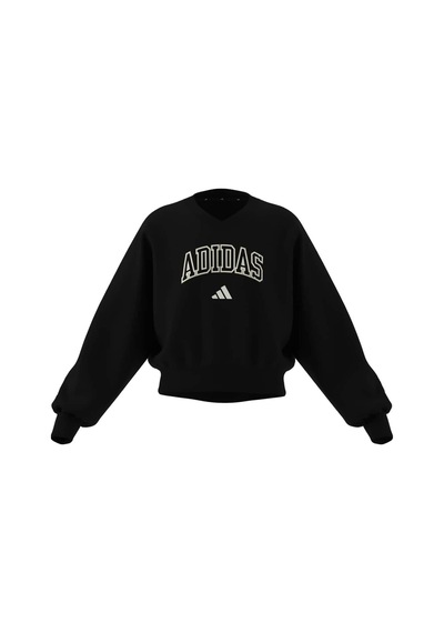 Adidas Çocuk Sweatshirt Jg Clgt V-neck Ks5134 Siyah