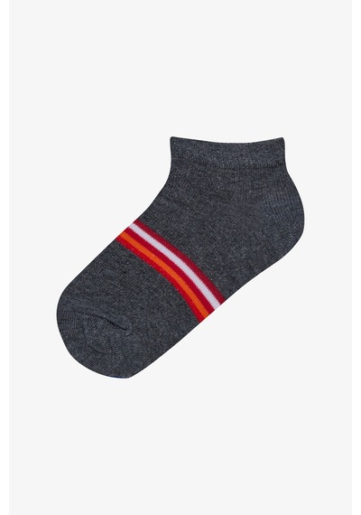 Penti Erkek Çocuk Bright Stripe 4lü Patik Çorap Çok Renkli