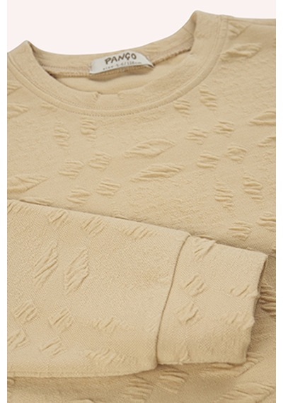 Erkek Çocuk Bej Sweatshirt Çok Renkli