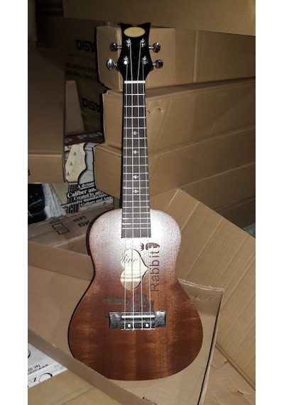 Concert Boy Maun Ağacı Rabbit Ukulele-Kılıf-Pena