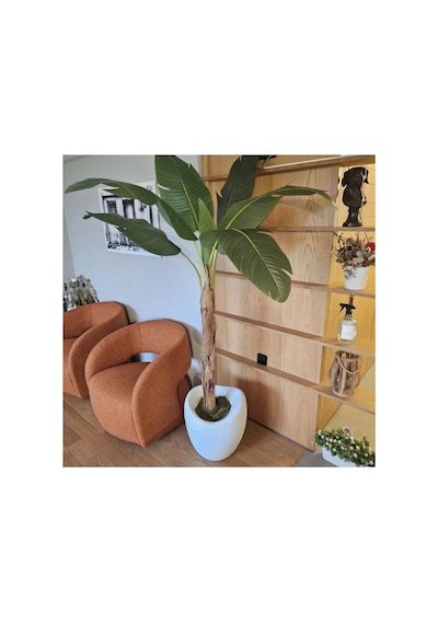 Mydecorza Bohem Home Fiberglas Bahçe Ve Ev Dekorasyonu Saksı Yumurta Modeli 45 Cm X 45 Cm