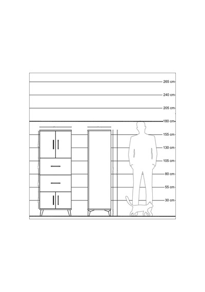 Hyperion Dolap 2 Raflı 2 Çekmeceli 4 Kapaklı 60x44x163 Çam-ay... Çam