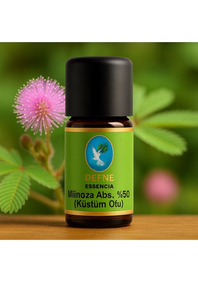 Mimoza Küstümotu Abs. %50 Geleneksel %100 Saf Uçucu Yağ 5ml