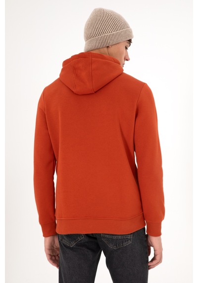 U.S. Polo Assn. Erkek Kapüşonlu Kiremit Basic Şardonlu Sweatshirt 50295176-VR031