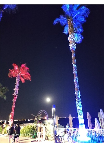 Palmiye Ağaç Aydınlatma Işık Boyama Led 35Cm Diğer