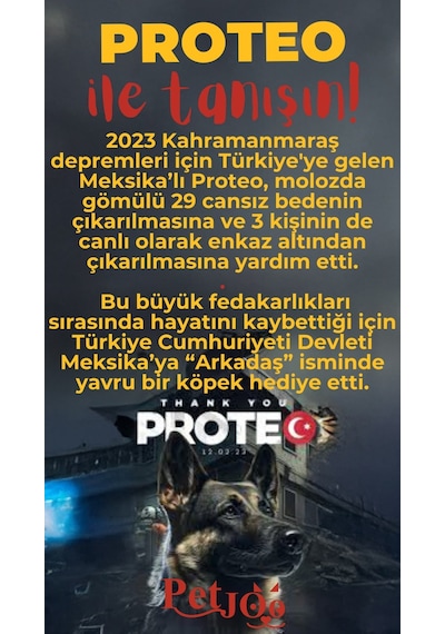 Petjoo 24.Proteo Kırmızı-Sarı Qr'lı Köpek Künyesi