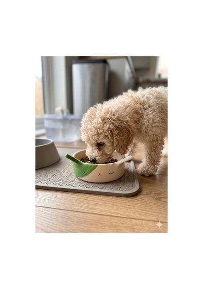 Yeşil Tavşan Seramik Mama Kabı - Köpek Ve Kediler İçin