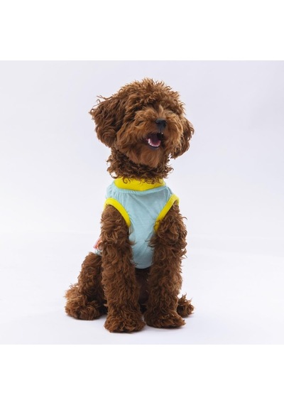 Pawstar Mint Sunrise Kedi Köpek Tişörtü Kedi Köpek Kıyafeti