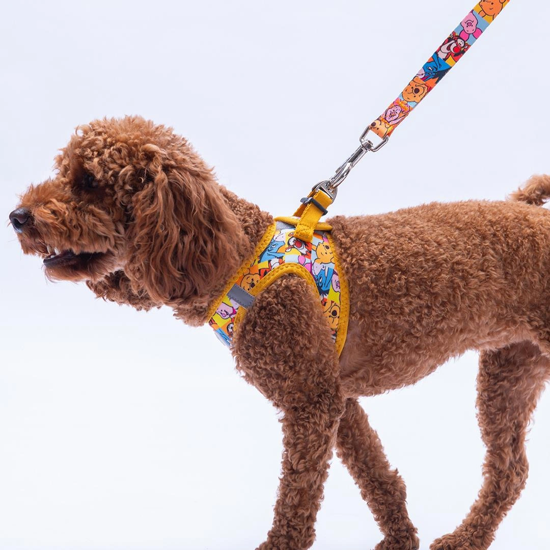 Winnie Team Göğüs Tasması Ve Sevk Kayışı Tasma Seti Winnie Ve Arkadaşları Kedi Köpek Göğüs Tasması Seti L Sarı