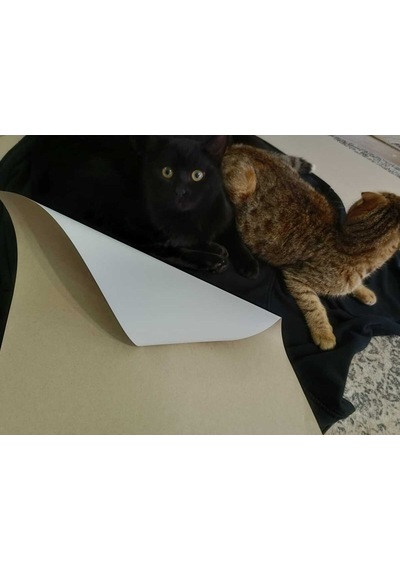 Baskısız Önü Beyaz Arkası Gri Oto Paspas 35x50 50 Adet 2,18 Kg