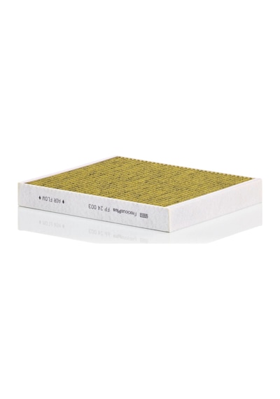 Mann Filter Fp24003 Alerjik Polen Filtresi
