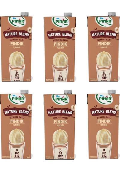 Pınar Nature Blend Bitkisel Bazlı Fındık İçeceği 1 Lt X 6 Adet