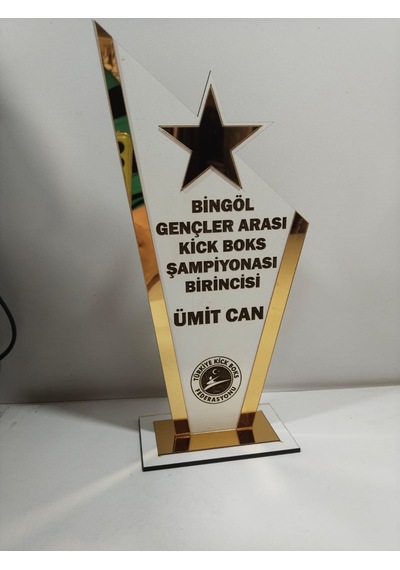 Plaket Karete/boks/judo/muay Thai/kick Boks Turnuvaları Altın