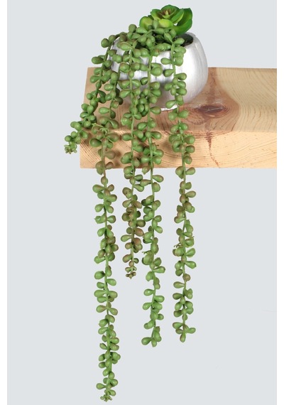 Yapay Çiçek Deposu Gümüş Mini Kabak Saksıda Succulentli Sarkan Tesbih Çiçeği 42 Cm