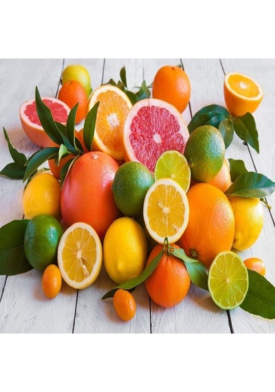 Aşılı Kamkat+Yediveren Limon+Mandalina Pakedi. Torbada